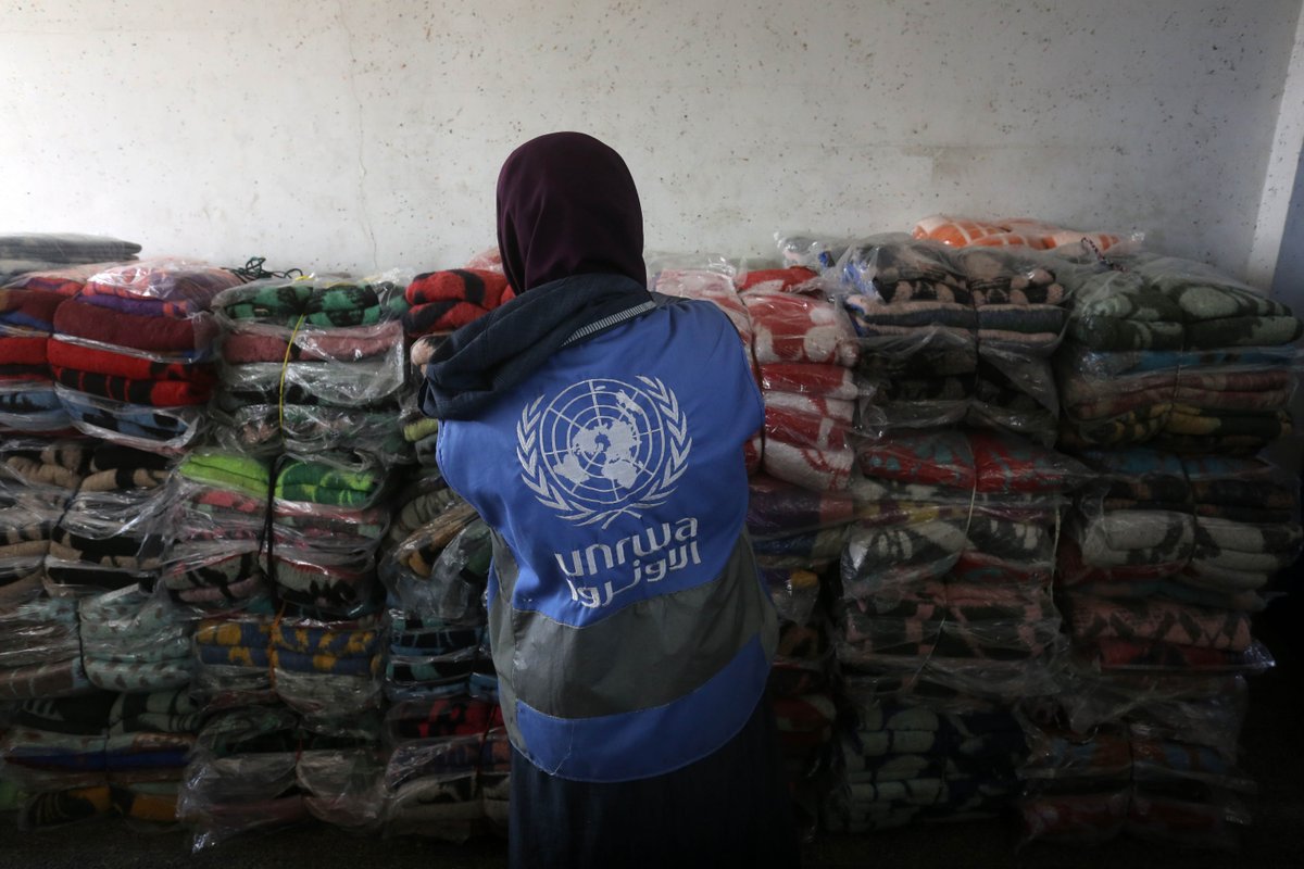 UNRWAes's tweet photo. Seguir apoyando con servicios esenciales a la población de Gaza es fundamental para salvar vidas. En UNRWA, seguimos haciéndolo, a pesar del bloqueo.
Nuestros equipos no cesan en su labor, a pesar de los riesgos.
👉 https://t.co/5IwYBQeeS1 https://t.co/IX9KVg2MVo