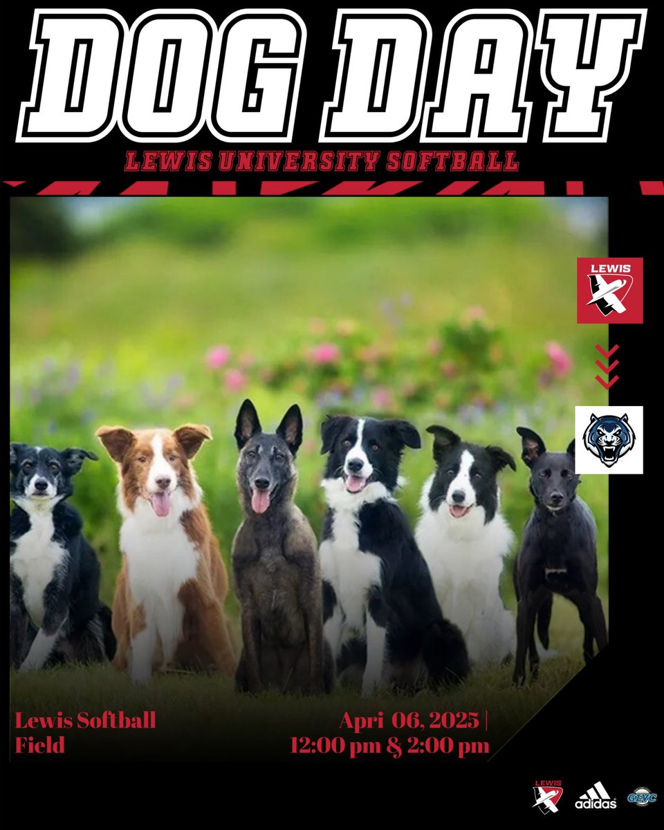 Bring your pup to the game tomorrow for Dog Day at the Lewis Softball Field!!🐶🐾