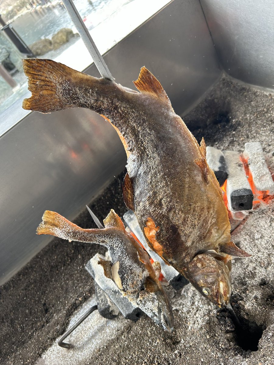 perosan117's tweet photo. やってます
#川場FP
#ロックトラウト
#爆釣
#モンハン飯 https://t.co/s94FS8vdoc