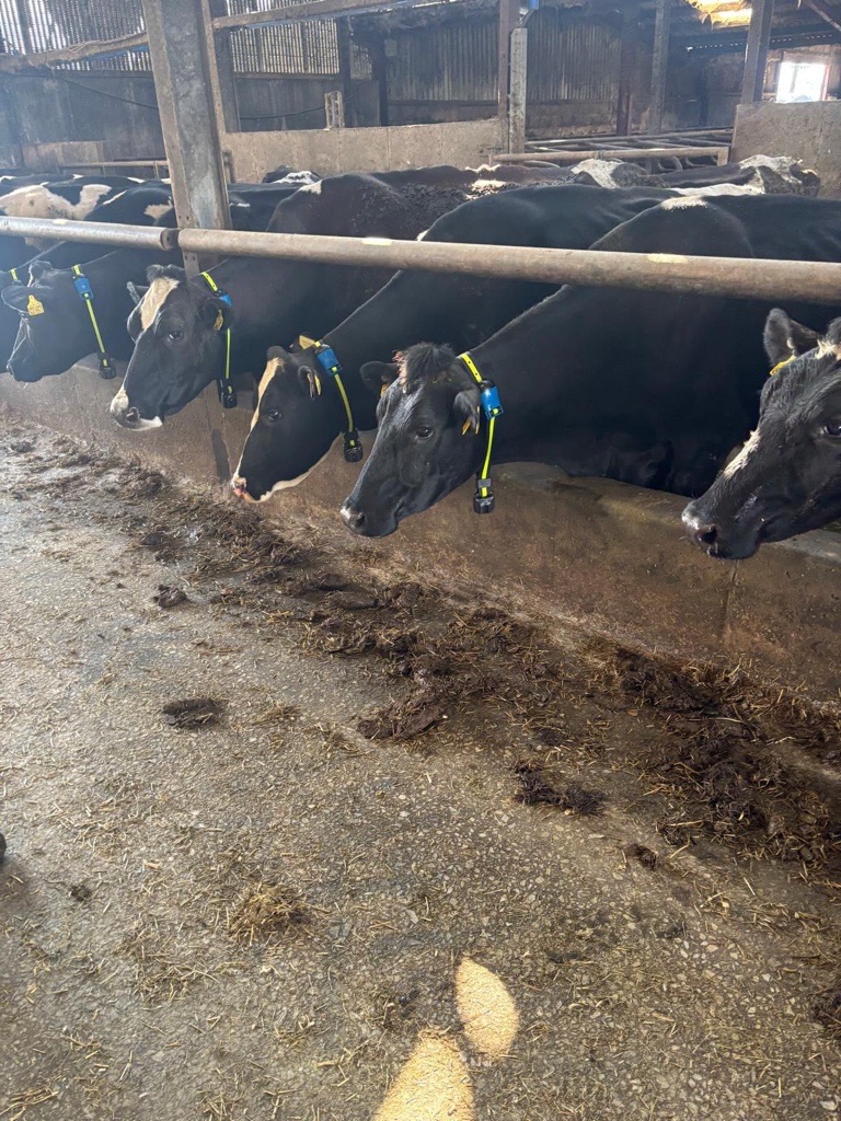 SenseHub Ireland tweet media