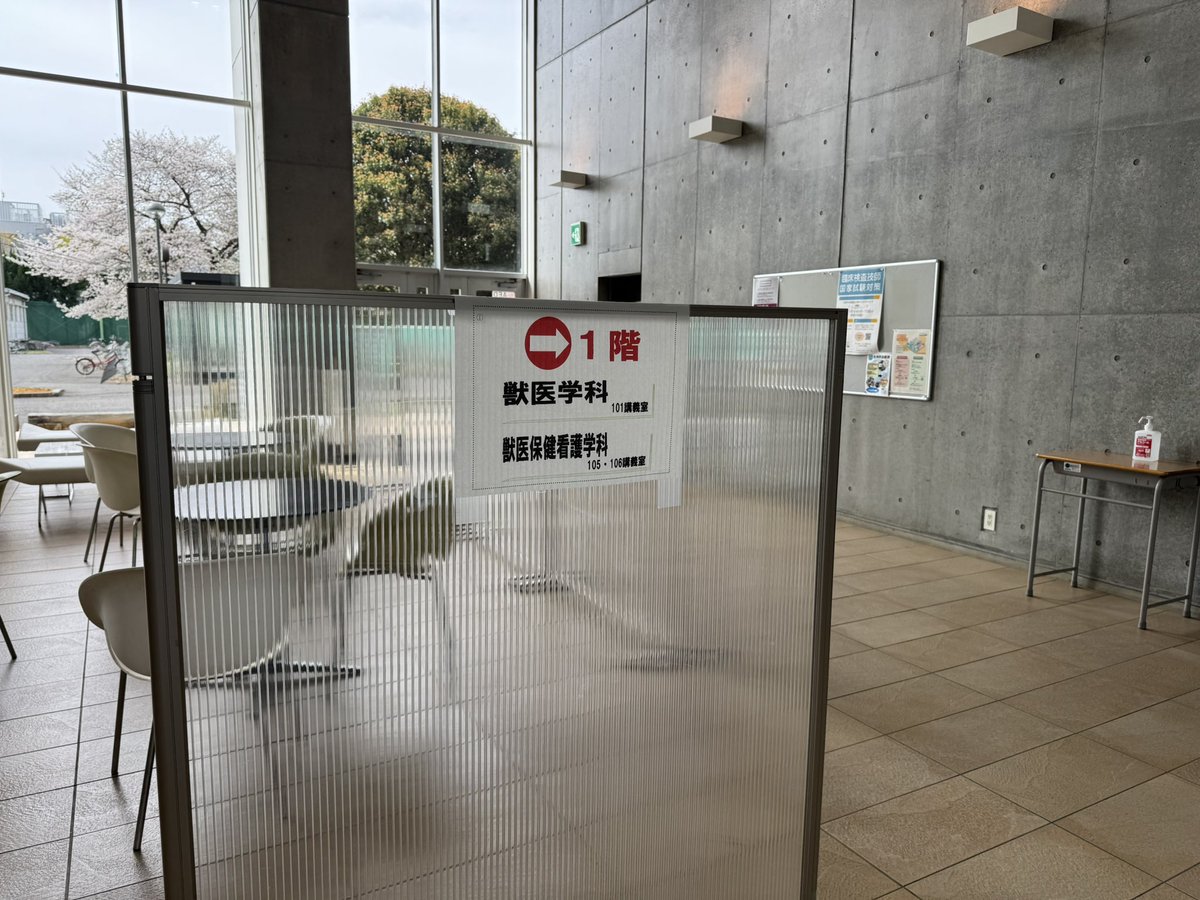 AzabuVetNurse's tweet photo. ご入学おめでとうございます㊗️
本日の受付は2号館入っ���右手にあるL106講義室です🐩 https://t.co/F2QiJ4GE8v