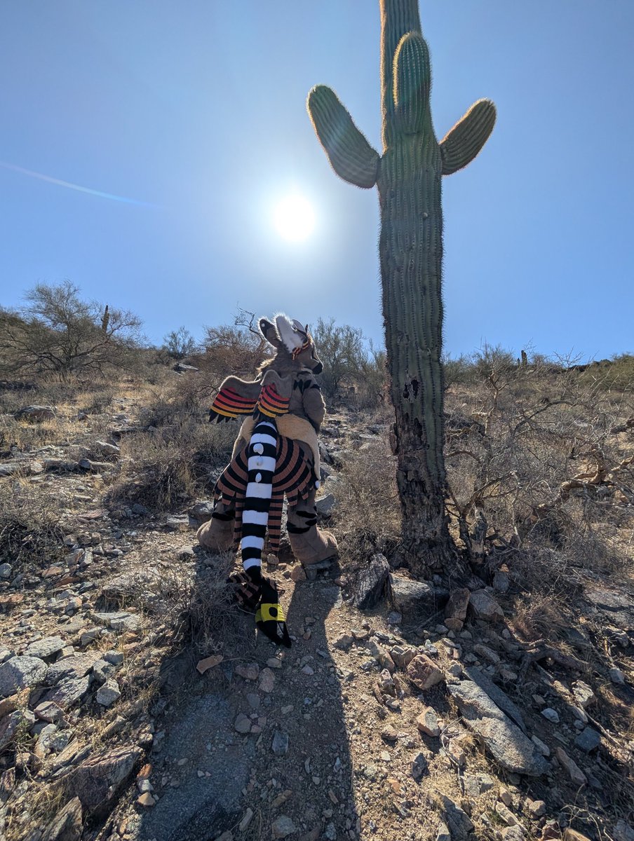 Another finished commission oasis this Dutch angel dragon!