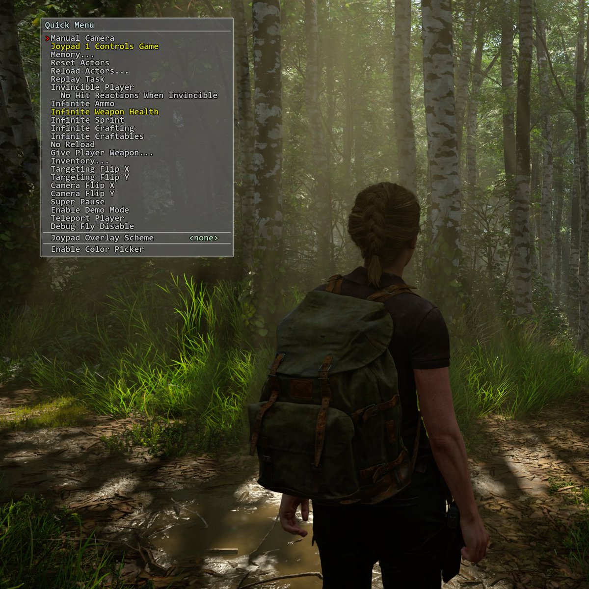 Naughty Dog kindly left their debug menu in TLOU2's PC port. You can no-clip and add cool cheats, or among other cool dev things.
