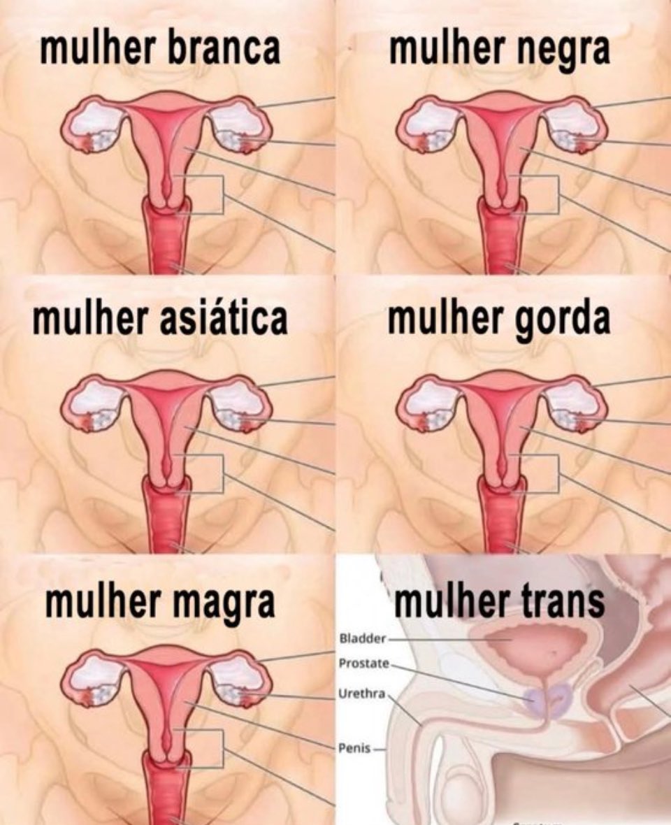 ageisianef's tweet photo. A verdade caindo como uma bigorna na cabeça de uma galerinha aí. https://t.co/8gNlKDotxh