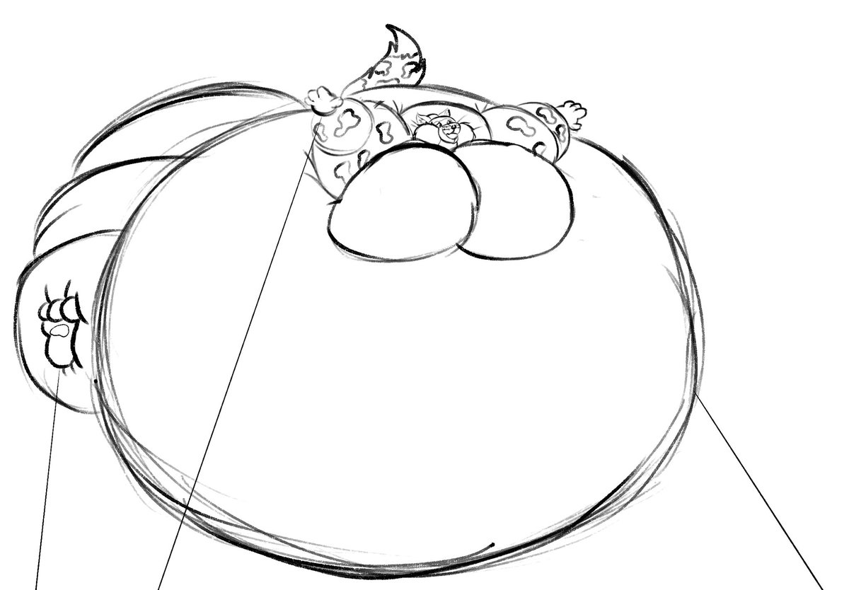 Thank you all so much for the birthday wishes again! You are all so amazing! To end the night have a blimp Cooper!