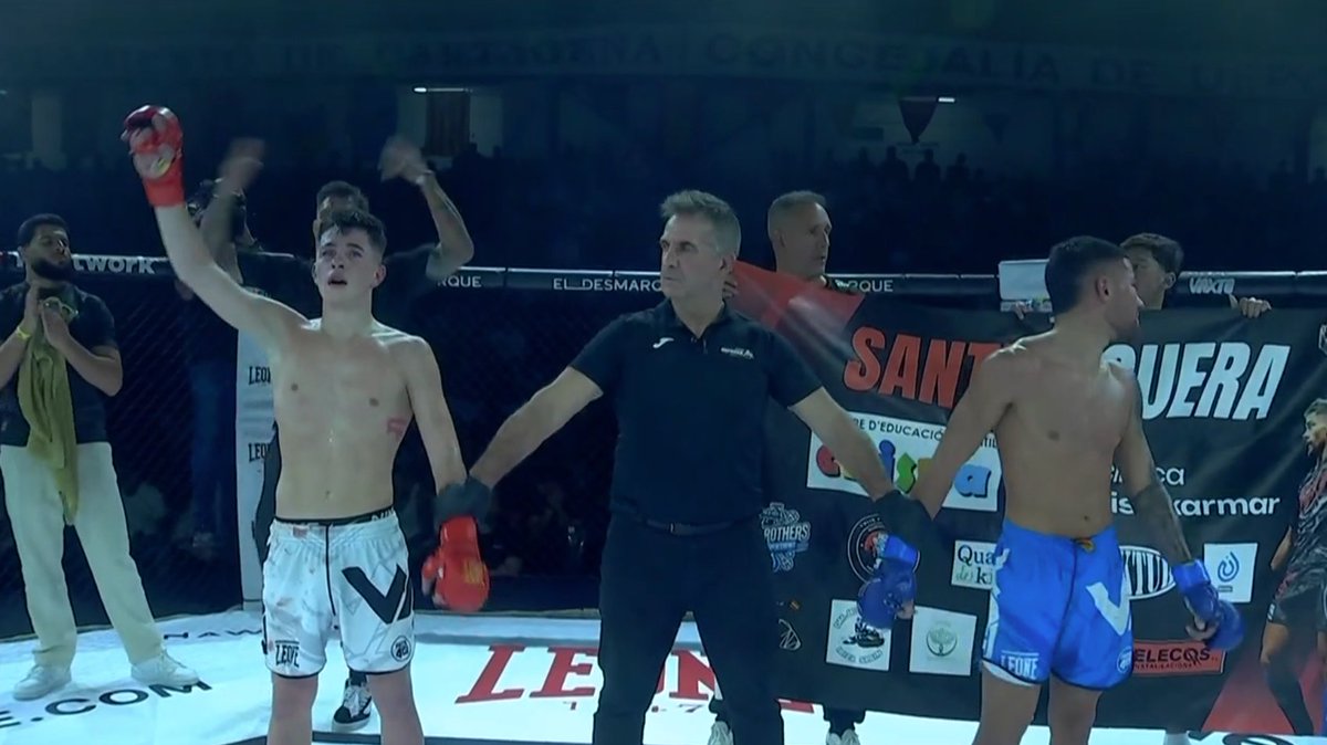 Pelunaton tweet media