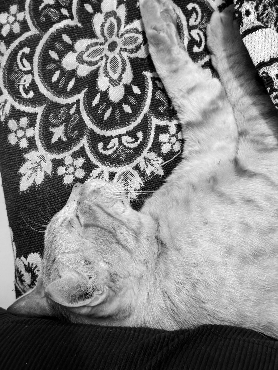 NukeLancerS tweet media