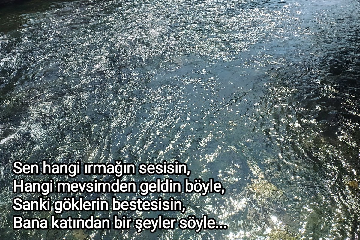 Tahsin Sağlam (@tahsinsaglam) on Twitter photo 