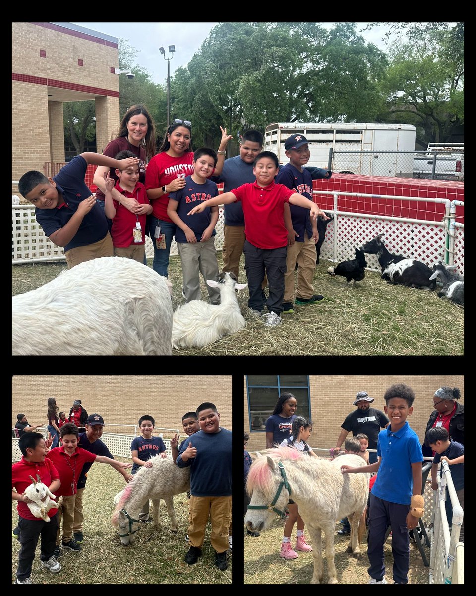 Pre-K had such a fun time with our Sweetie Pies Petting Zoo visit! 🐰🐐 Thanks to @JCooks_9, <a href="/Nildaqlla/">Nilda Quintanilla</a>, <a href="/LViciedo/">Larissa Viciedo</a> <a href="/BCisneros198671/">B Cisneros</a> @, Ms. Alsandor, <a href="/MsCastellon/">Ms. Castellon M.Ed.</a>, Ms. Tabush, and <a href="/1greatcounselor/">Ms. Akeena McDonald</a> for sharing in our fun! 🐓🦙 <a href="/Aliefsneed/">Sneed Elementary</a> <a href="/_SJohnson91/">S.Johnson</a>
