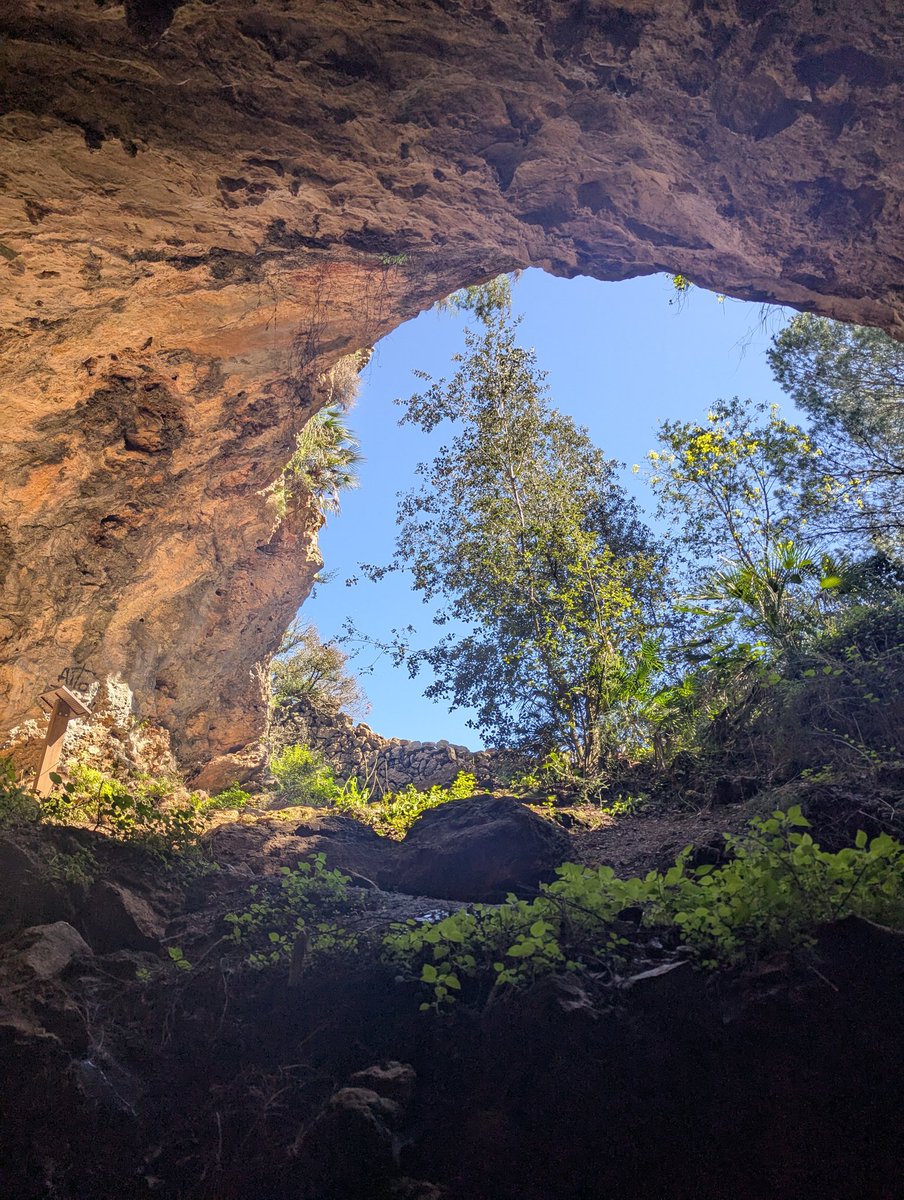 cerveroo_'s tweet photo. Després d'un mes, entre pluges, feina i uni, hui s'han alineat els astros i he pogut fer ruteta🥰🥰 https://t.co/yChBbYGuuU