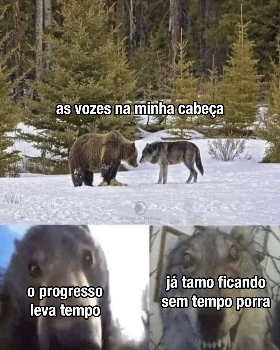 Shitpost só que de verdade (@shitpostverdade) on Twitter photo 