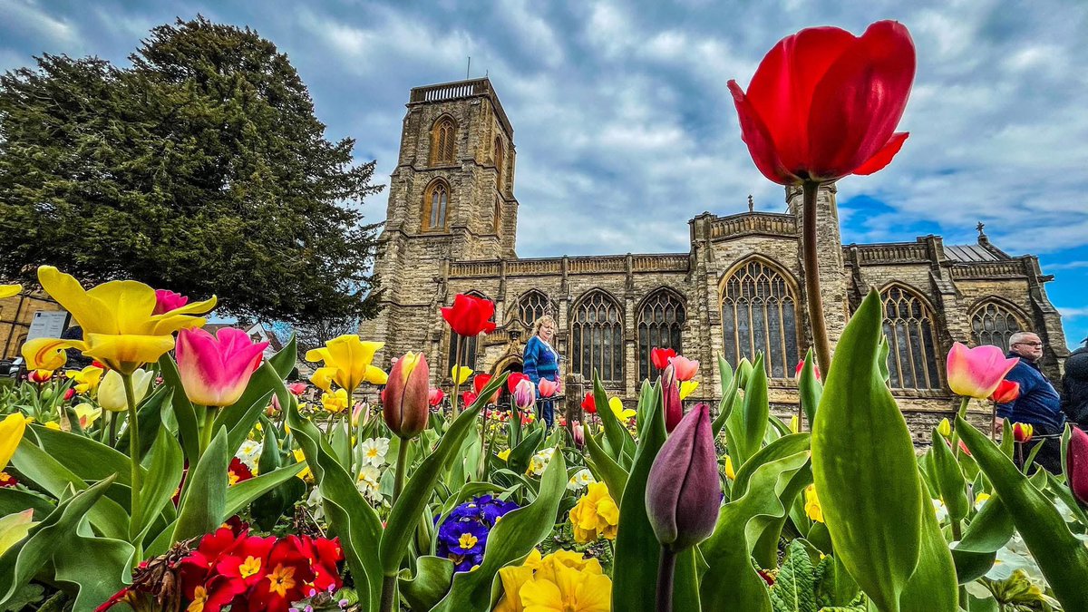 Springtime makes the world a prettier place #lovesomerset