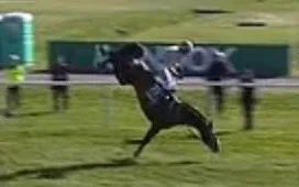 A simple message to anyone who gambled on or watched the Grand National today. Fuck you for supporting horrific animal cruelty.

No place in 2025 for little idiots whipping and abusing horses for morons to bet on.