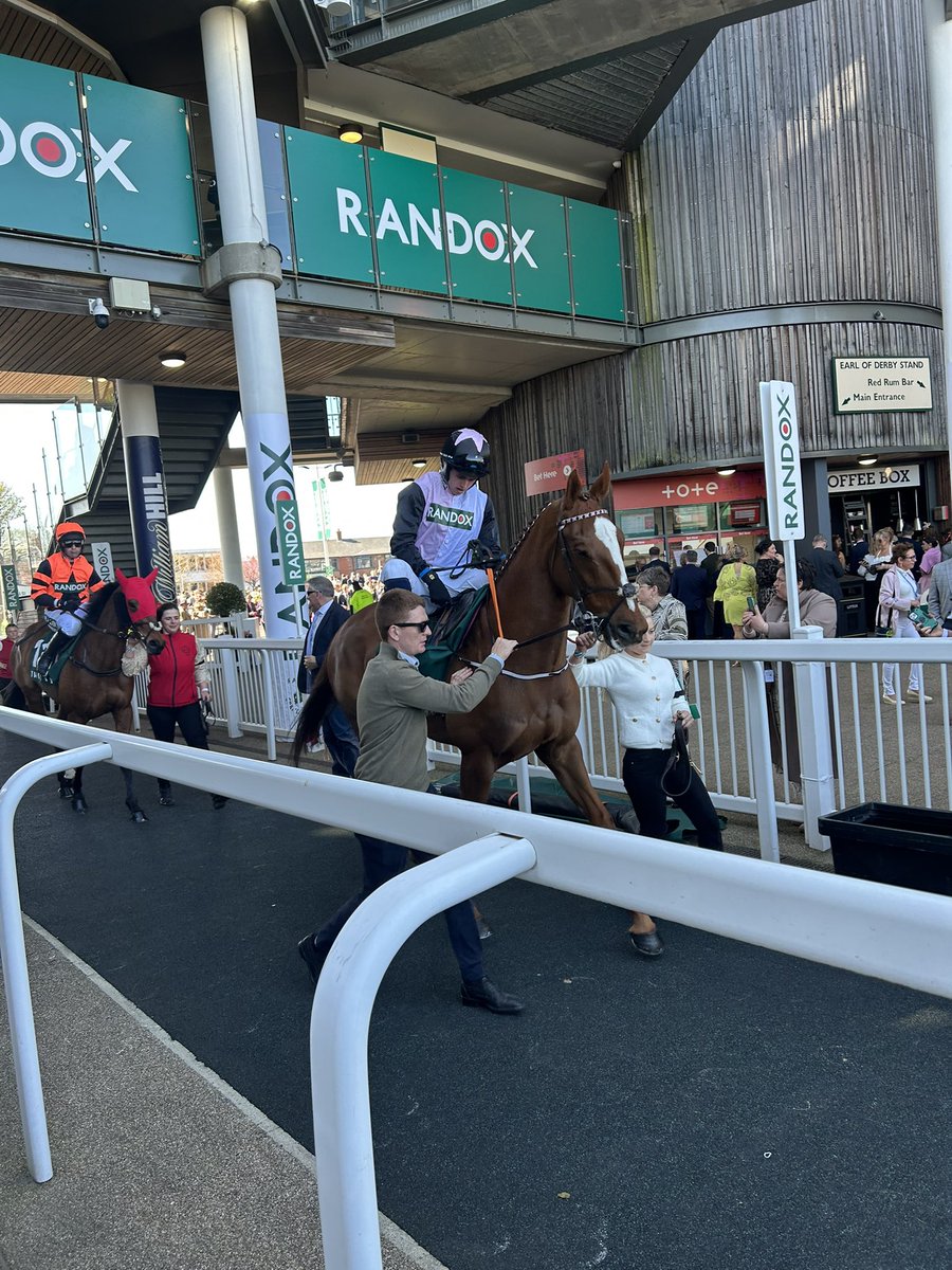 Hiddenvalley Lake <a href="/HenrydeBromhead/">Henry de Bromhead</a> <a href="/AintreeRaces/">Aintree Racecourse</a> 

WINNER 🥇🐎