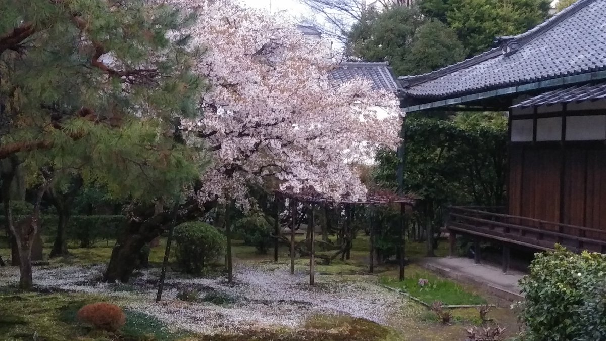 予報どおりの雨に。