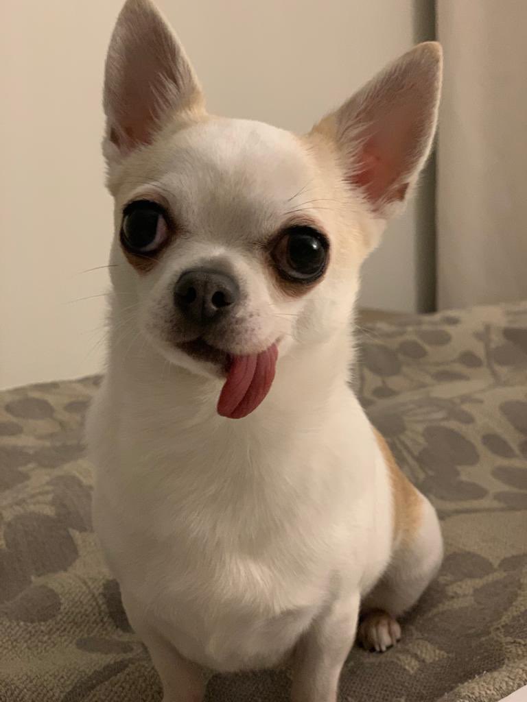 LOLiTOFDEZ's tweet photo. @Fortnite_ES Lucille lo es, eso es. ;) https://t.co/z3iLn5OSDY