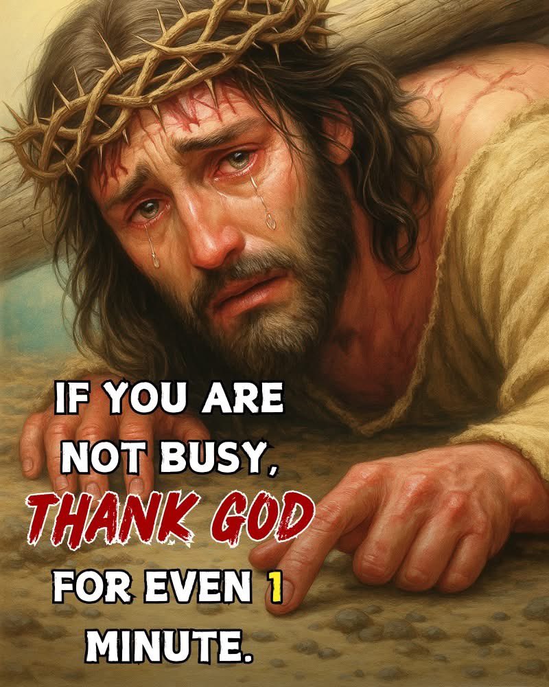 Faith Alone Saves ✟ tweet media
