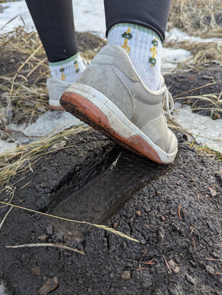 Giant steps lead to giant footprints!