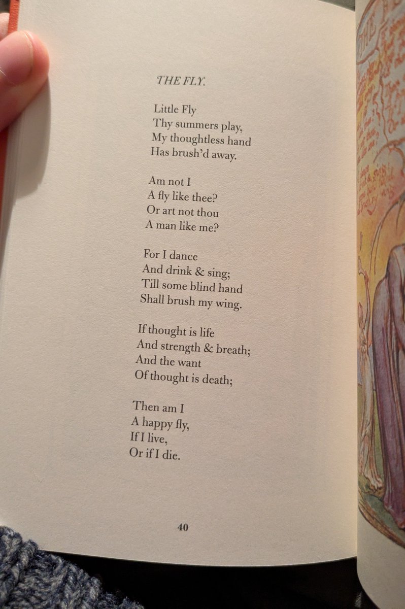 gf: "and this one's about insect welfare..."