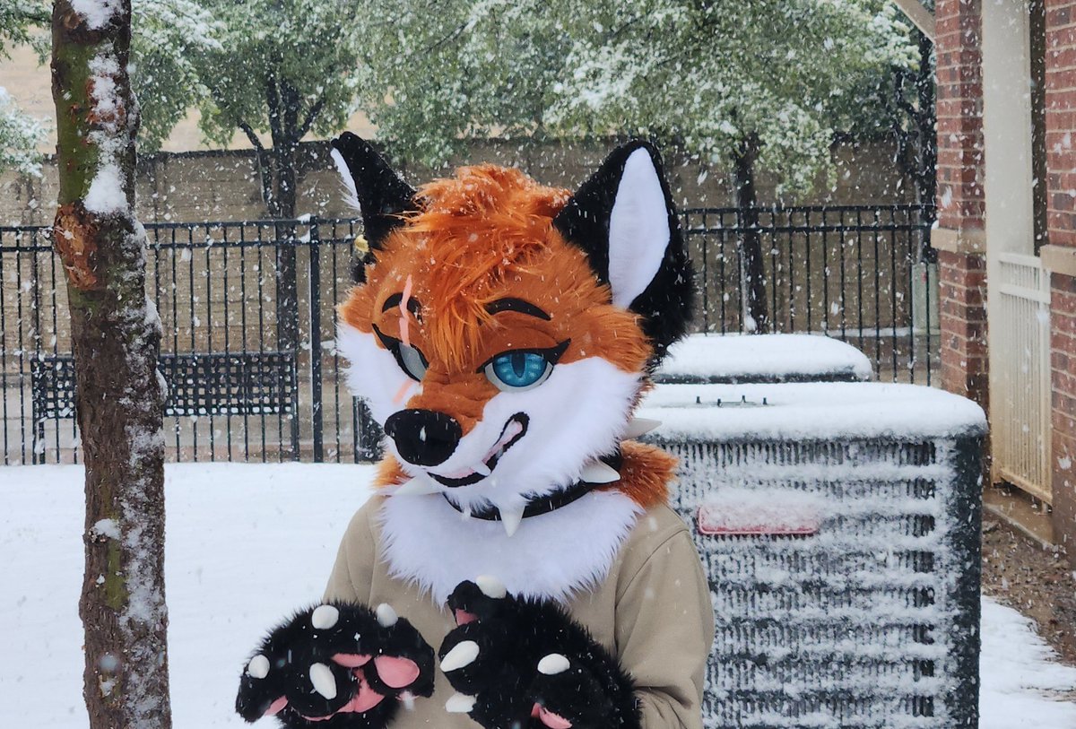 Snow day! Happy fursuit Friday :)

#FursuitFriday #furryfandom #Fursona #foxfursona