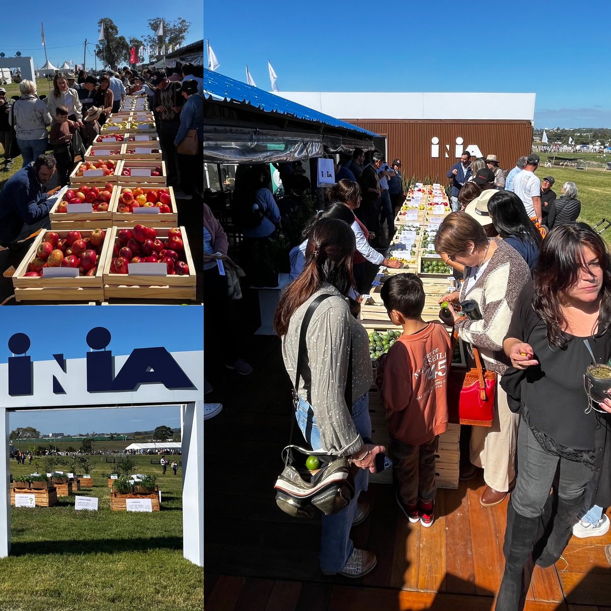 Carlos Rossi (@rossica62) on Twitter photo Excelente presencia de <a href="/INIA_UY/">INIA URUGUAY</a> en Expo Rural Melilla. Reflejado en artículo de <a href="/ObservadorUY/">El Observador Uruguay</a> goo.su/Z8VwCbP Excelente presencia de <a href="/INIA_UY/">INIA URUGUAY</a> en Expo Rural Melilla. Reflejado en artículo de <a href="/ObservadorUY/">El Observador Uruguay</a> goo.su/Z8VwCbP