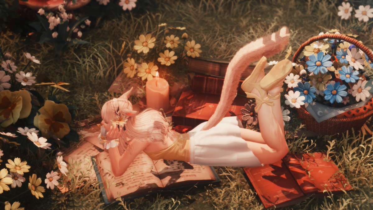 Aviditty's tweet image. Watch me glow 🌟🌻

#FF14 ♡ #GPOSERS  ♡ #ミコッテ ♡ #おはミコ