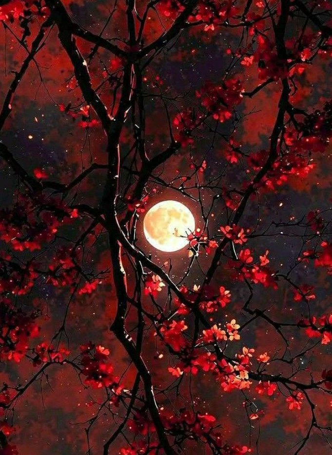 🌻Good night dear friends

#Goodnigh #happyWekend
#CoffeeTime #wintervolliefde #BeKindAlways  #PeaceAndLove #Nature  #Photography