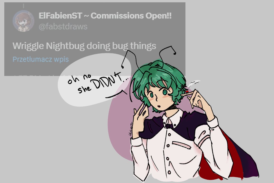 Valiouku's tweet photo. bug to bug communication 
#touhouproject https://t.co/Je2WlOcYUm