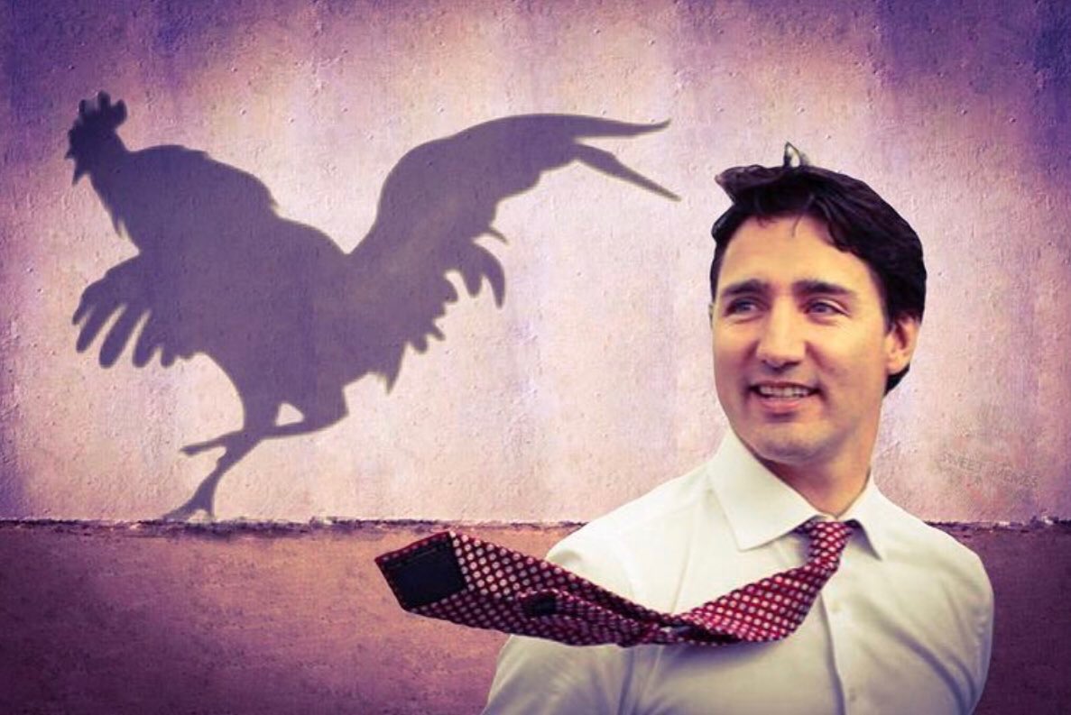 55SweetThing's tweet image. #TrudeauMustGo