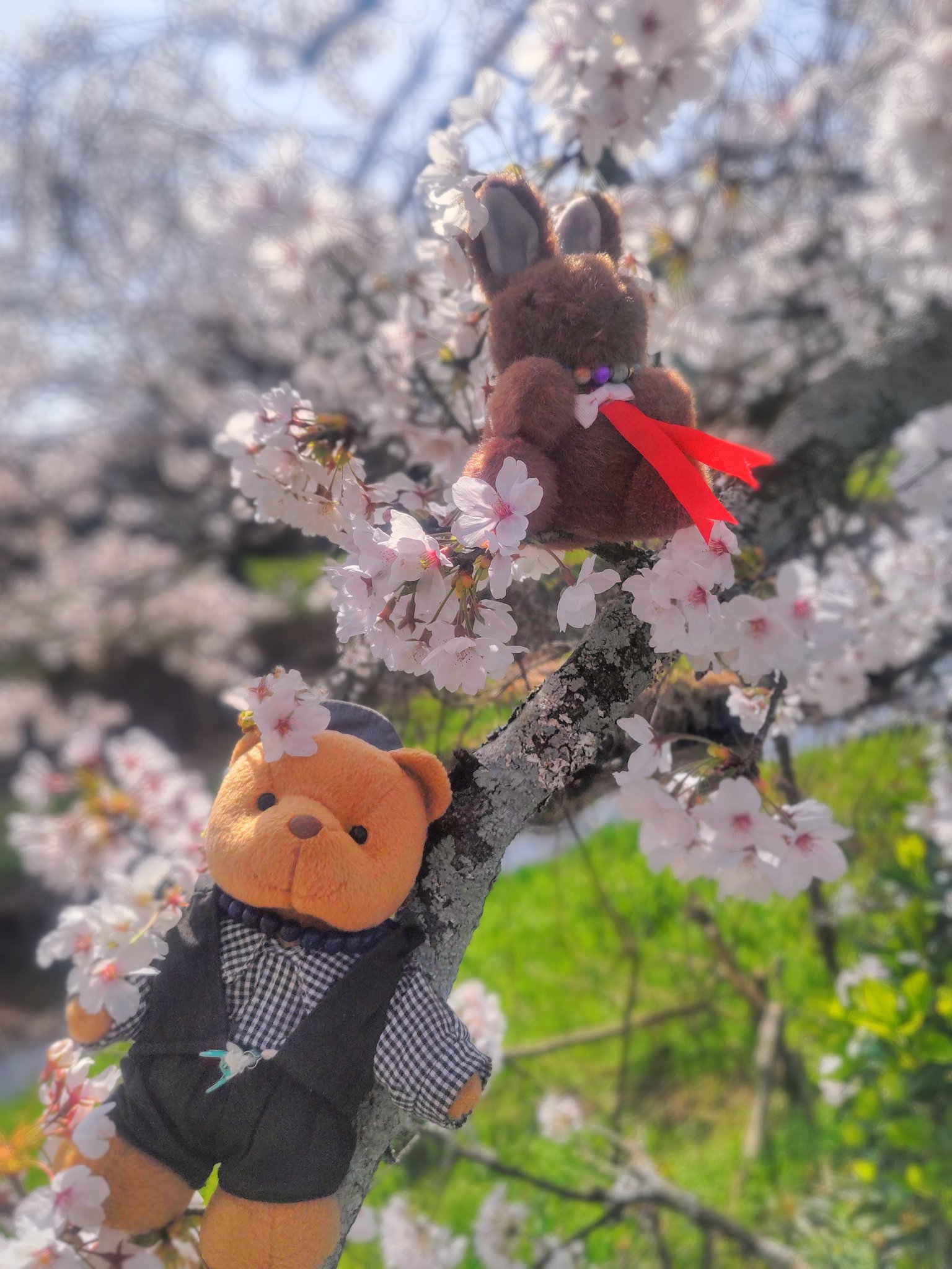 象さん、豚さん、ウサギさん、等が、裏にハートを抱えた