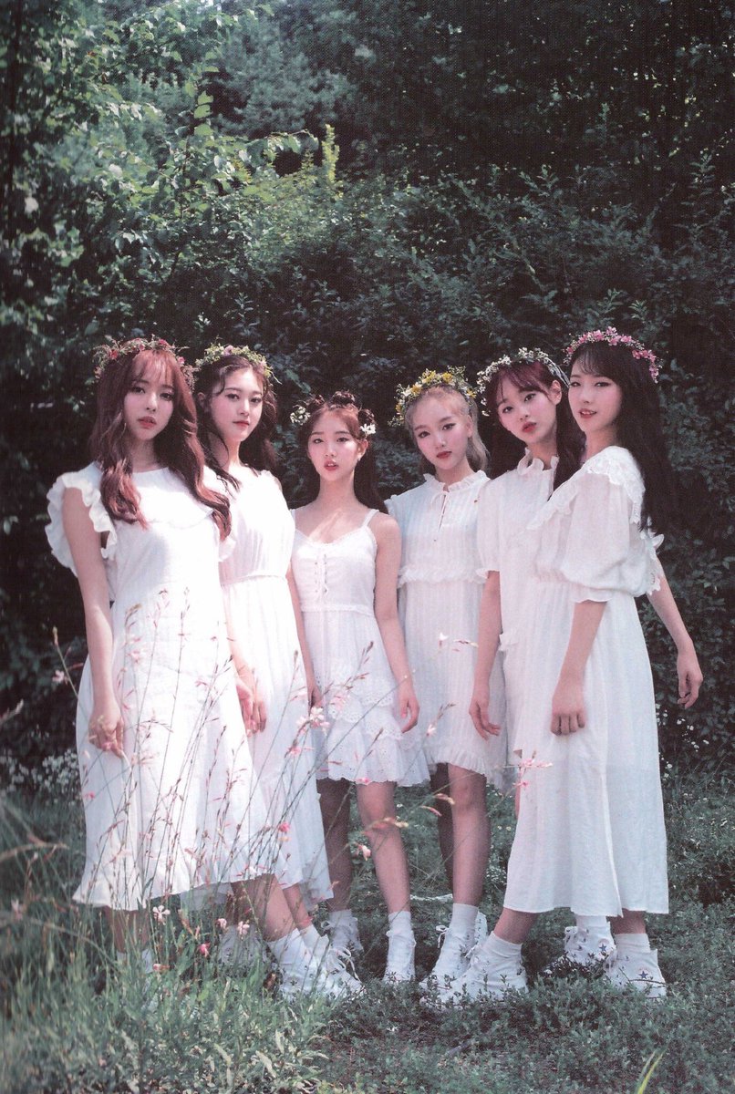 ❥ loona pics tweet media