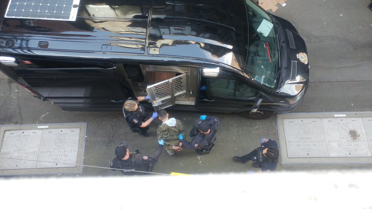 frogger313's tweet photo. thanking @VancouverPD for keeping our blood alley clear
#makevancouvergreatagain https://t.co/XfzPyeBCVu