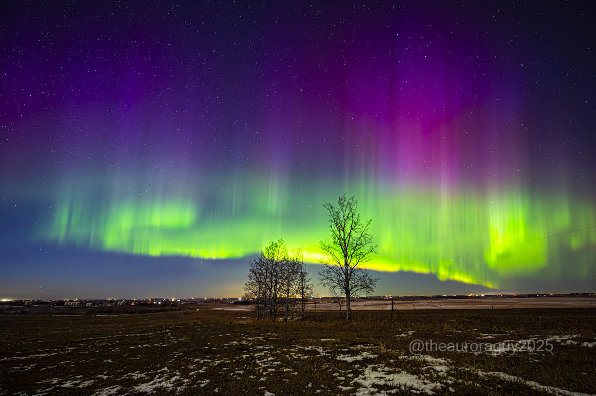 Harlan Thomas tweet media