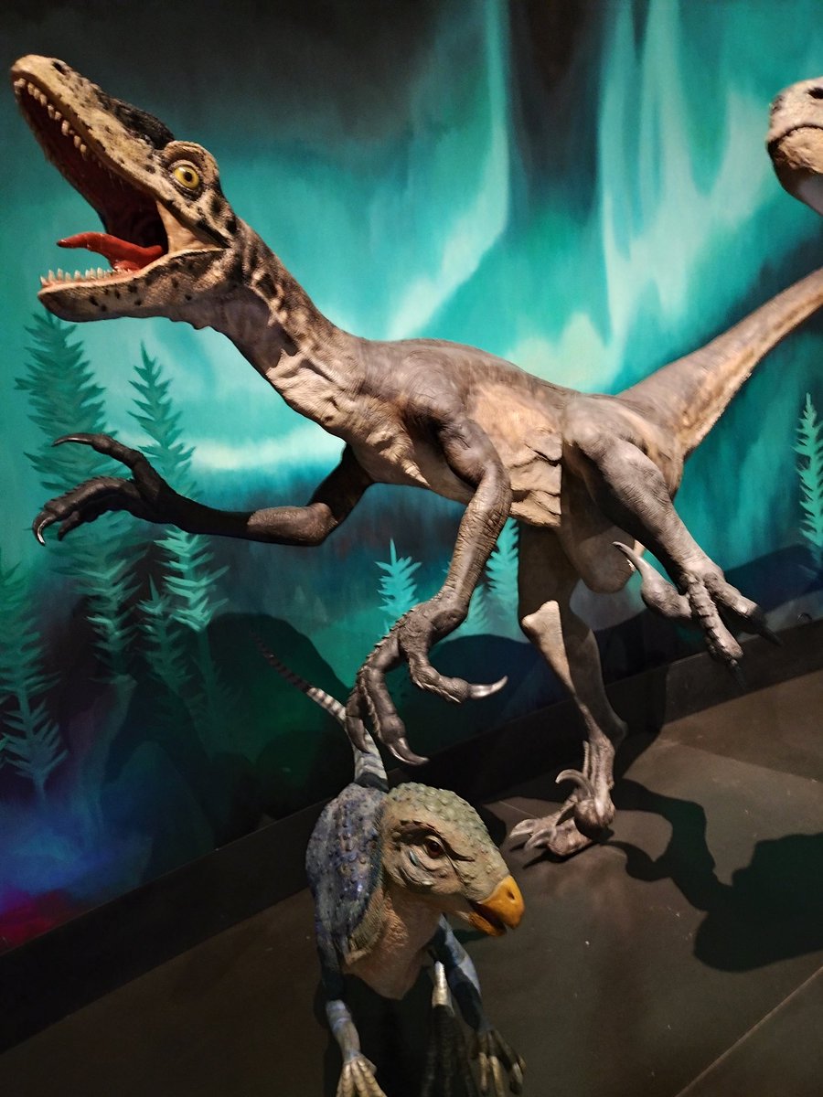DitoAbbott's tweet image. Raptor in the Australia Museum. Were in charge of posing an exhibit, I would make raptors look as inept as possible, too.
Referencing clutz raptors is one of my Writing Side Quests. Did Garrillus the Unread lose money investing in a clutz raptor racing league? Why, yes he did.