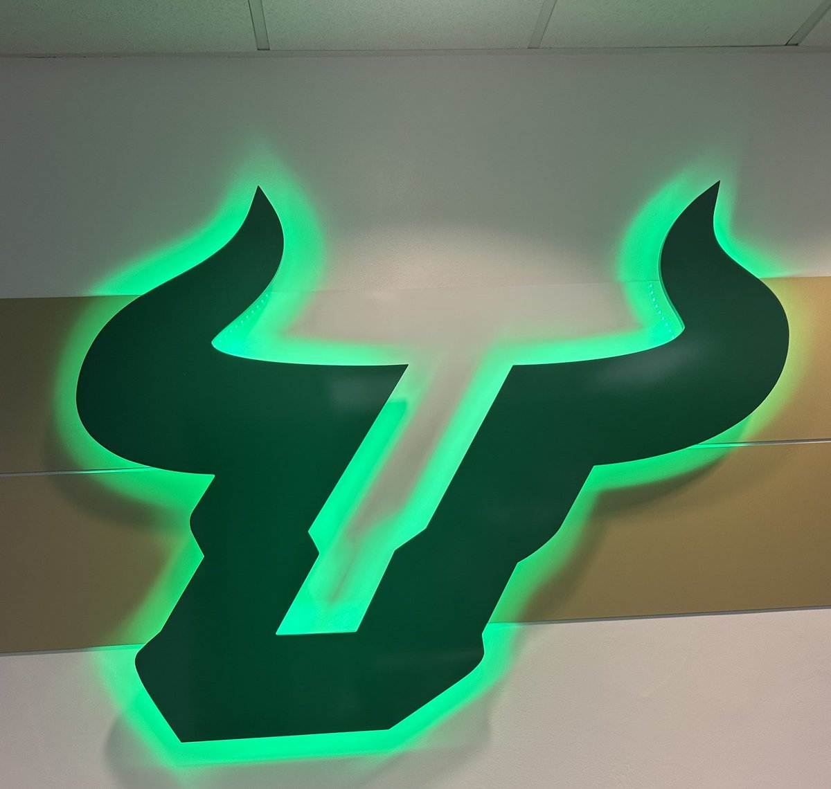 I’m very excited to announce that I have received an offer from <a href="/USFFootball/">USF Football</a>!!! Thanks <a href="/CoachJTaylorUSF/">Jack Taylor</a> <a href="/CoachStolberg/">Justin Stolberg</a> and <a href="/CoachGolesh/">Alex Golesh</a> for the opportunity and great visit!