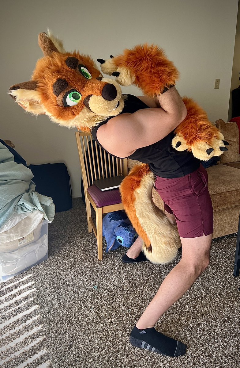 swoleysabull's tweet image. Tried a fur suit @sunnythelynx