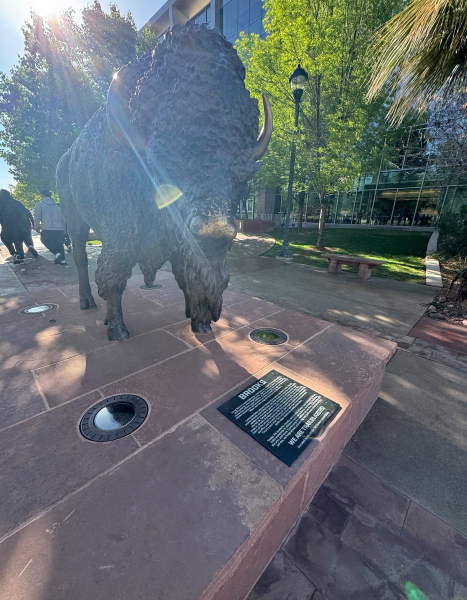 Siaosi Jace Meafoou tweet media