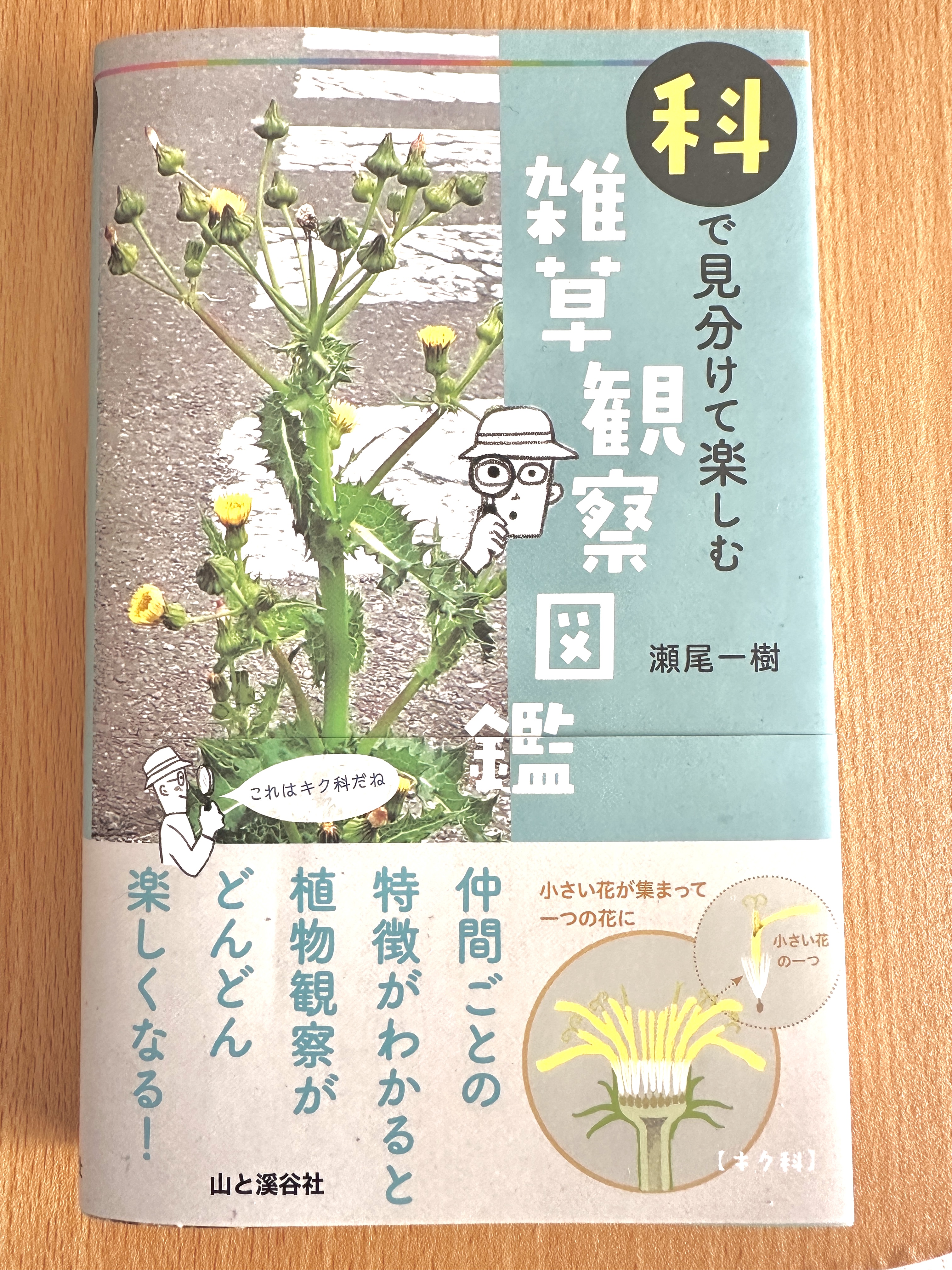 瀬尾一樹@新刊2冊発売！！ (@kusanonamaesay) / X