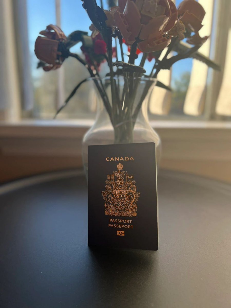 You can leave Canada, but Canada will never leave you🇨🇦