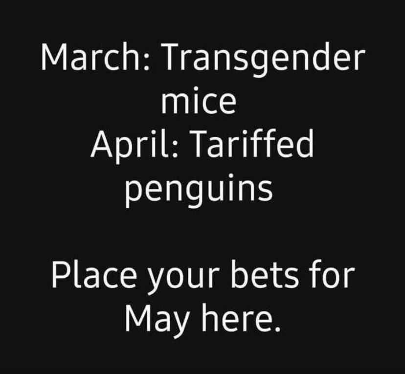 JessicaUSAF tweet media