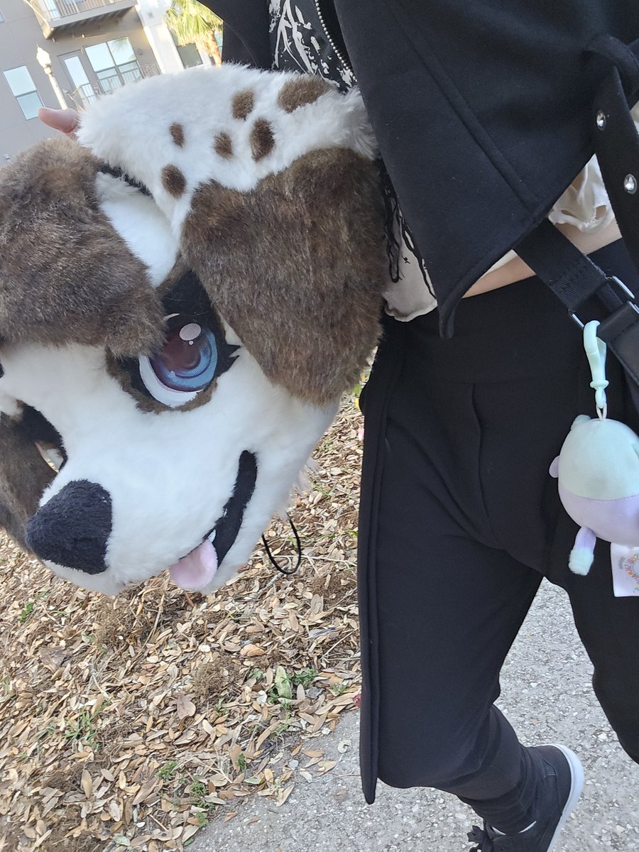 Going to a local furry mini convention today! It's exciting :3