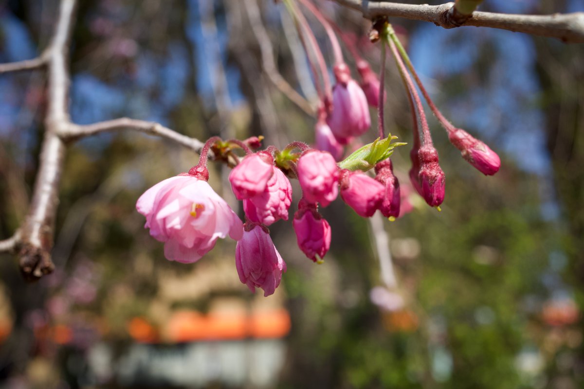 おはようございます！
本日も良い一日を

#写真好きな人と繋がりたい
#写真撮ってる人と繋がりたい
#スナップ

📸GRⅢ