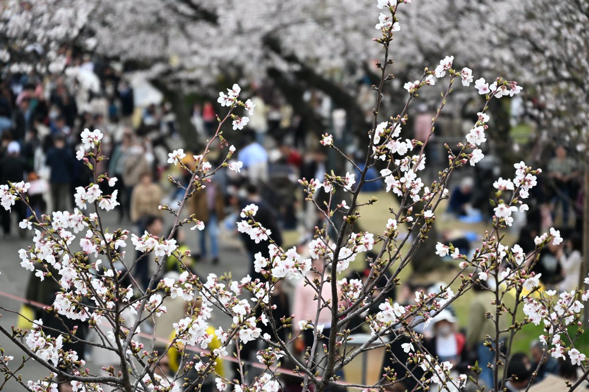 takeo.camp tweet media