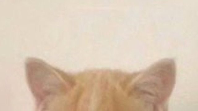 kylemaclachlanz's tweet image. 