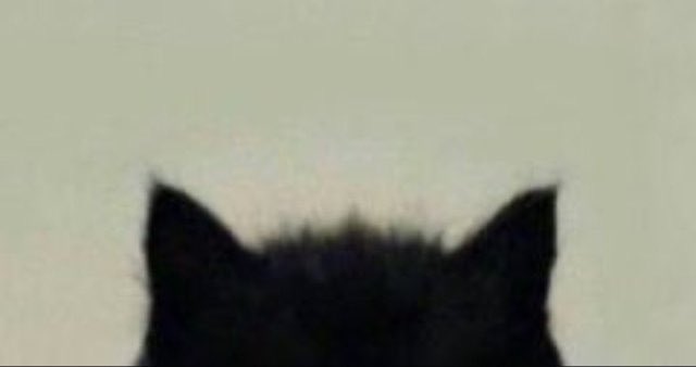 kylemaclachlanz's tweet image. 