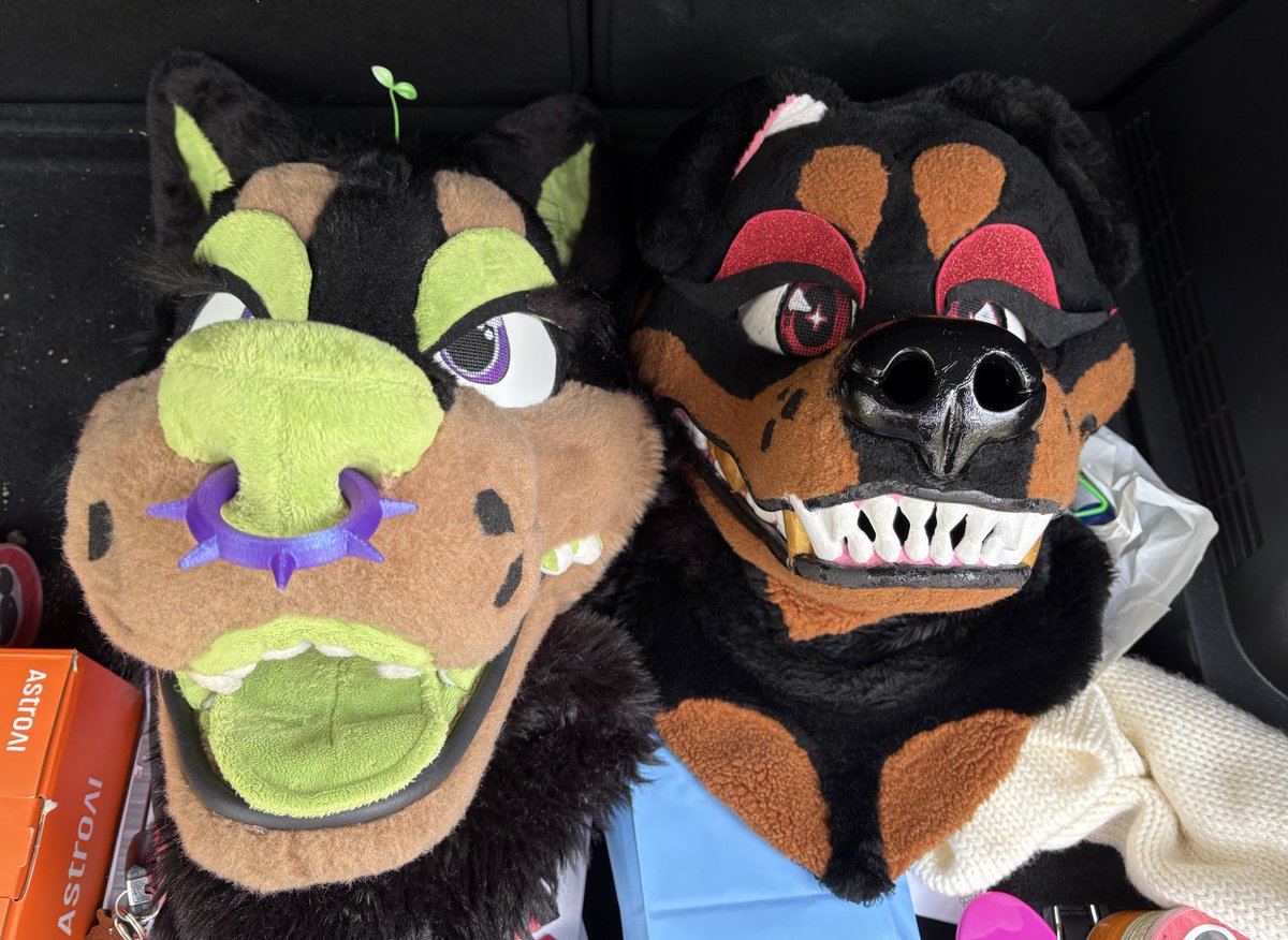 siwwy goofy dogs at RUFF!!!