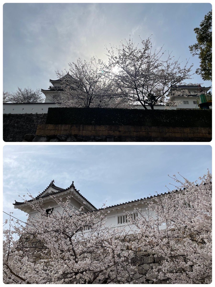 ダンナの📸🪭が良かった🌸🏯 