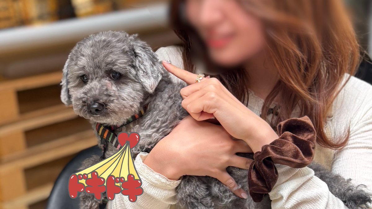 lgm_choco's tweet photo. 🐶も楽しめるイベントで RED FISH さんに
似顔絵描いてもらっちゃいました✨
可愛く描いて頂いて 抱っこまで🥰
トートにサイン😍 光栄すぎました✨
ツアーパンフ 楽しみにしてて下さい✨
って🤭 楽しみ〜🚀 🪐
#REDFISHWORLD @i_am_redfish
#リトグリ_Ambitious #リトグリ https://t.co/S8MwTFsM9C