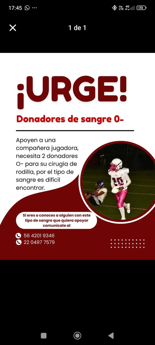Yoshimi 🏈 tweet media