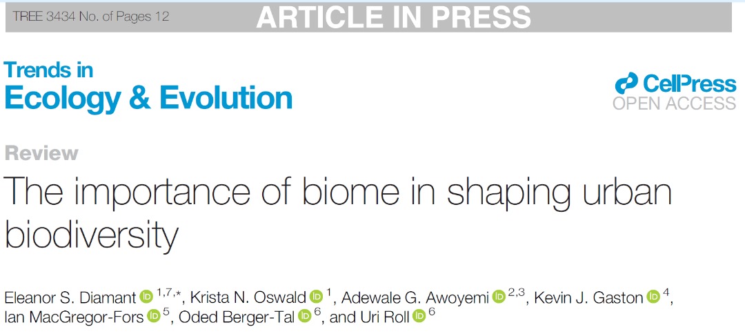 AdewaleAwoyemi's tweet image. 📢New paper @Trends_Ecol_Evo: The importance of biome in shaping urban biodiversity!
doi.org/10.1016/j.tree…
Urbanization research is biased towards temperate biomes, neglecting drylands!
Dryland cities support higher relative species richness than temperate cities.
Irrigation…